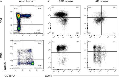 Distinct Housing Conditions Reveal a Major Impact of Adaptive Immunity on the Course of Obesity-Induced Type 2 Diabetes